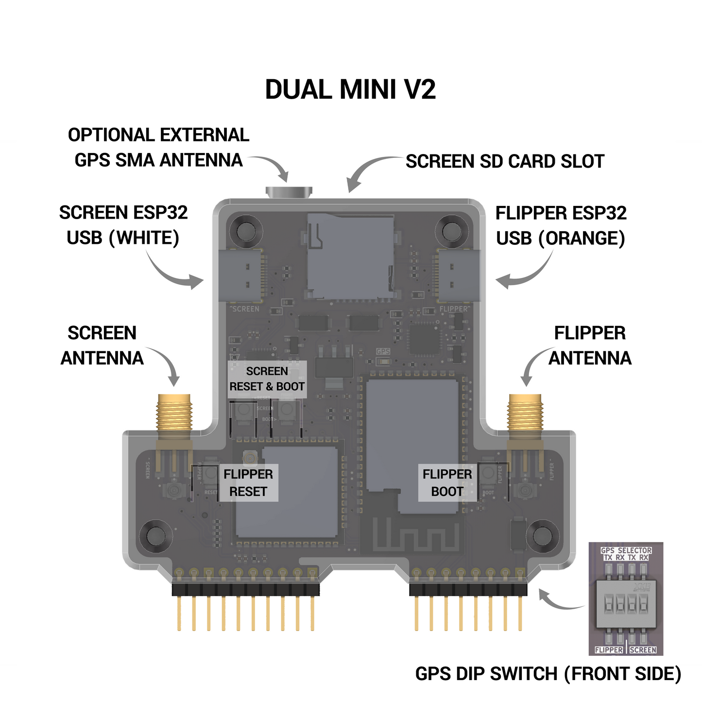 Dual Mini v2